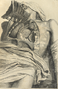 Plate from Bidloo's Anatomia humani corporis. Please click on the link below to view and resize full page.